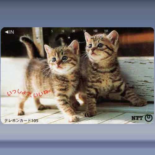 cats 4502